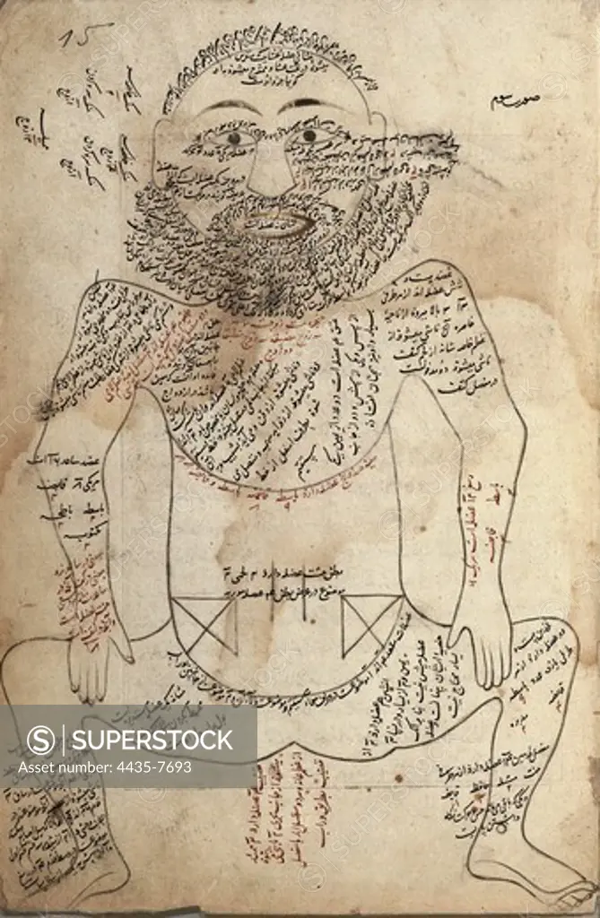 Anatomy of the Human Body. Persian manuscript (16th c.) illustrating the muscles and nervous system in a male body in a squatting position. Persian art. Miniature Painting. FRANCE. ëLE-DE-FRANCE. Paris. National Library.