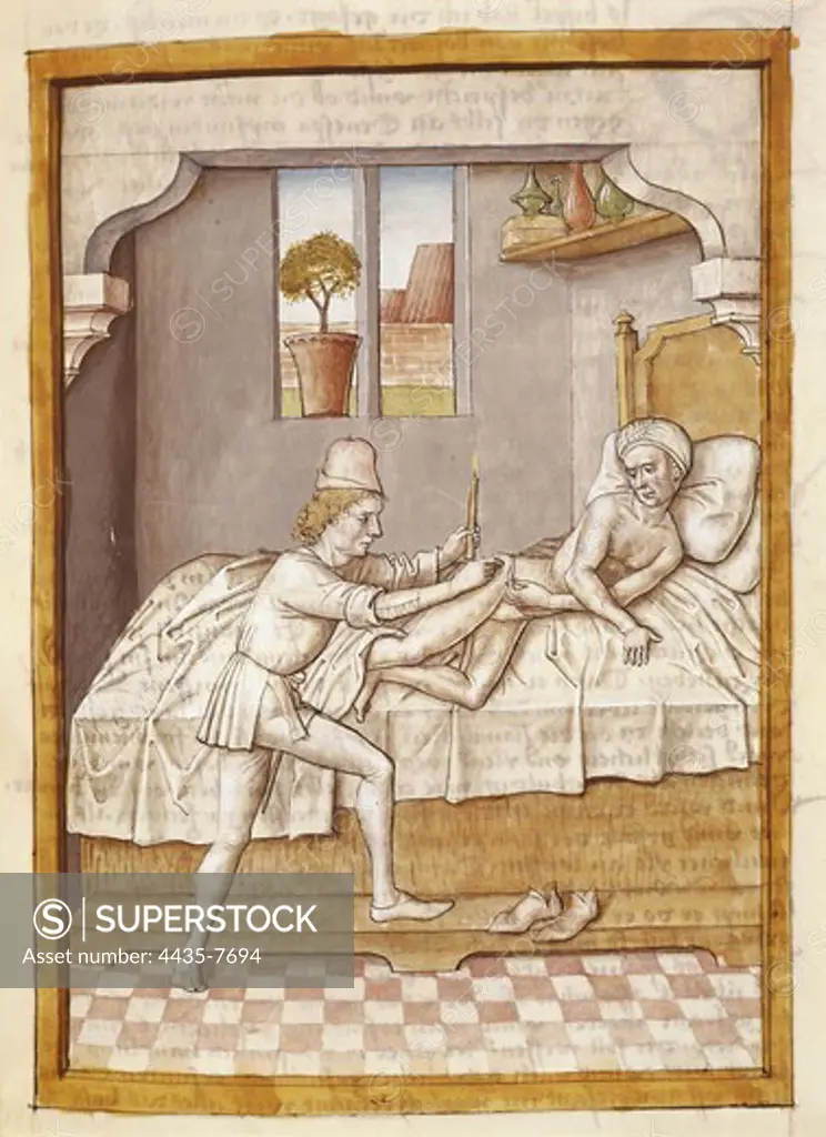 The Fables of Bidpai. Folio 6: Healing of an ill. German edition from 1480 after the Hindu original from 1348. Gothic art. Miniature Painting. FRANCE. PICARDY. OISE. Chantilly. MusŽe CondŽ (CondŽ Museum).