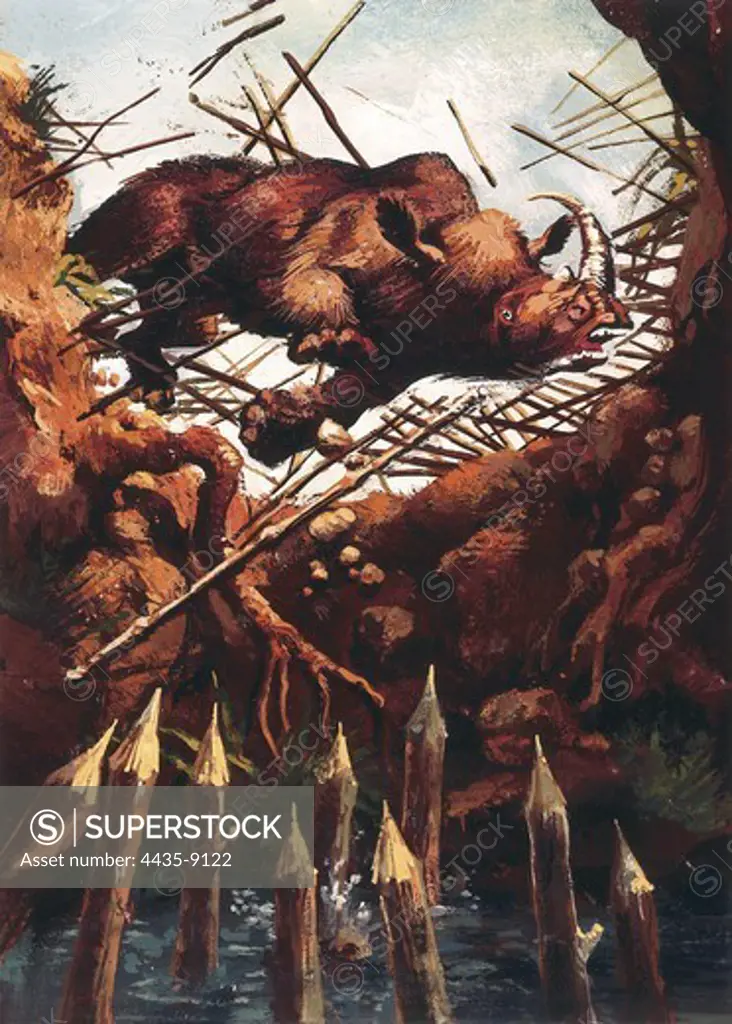 Illustration that recreates the hunting of large mammals (mammoths, woolly rhinos and elephants) using traps during the Upper Paleolithic. Painting.