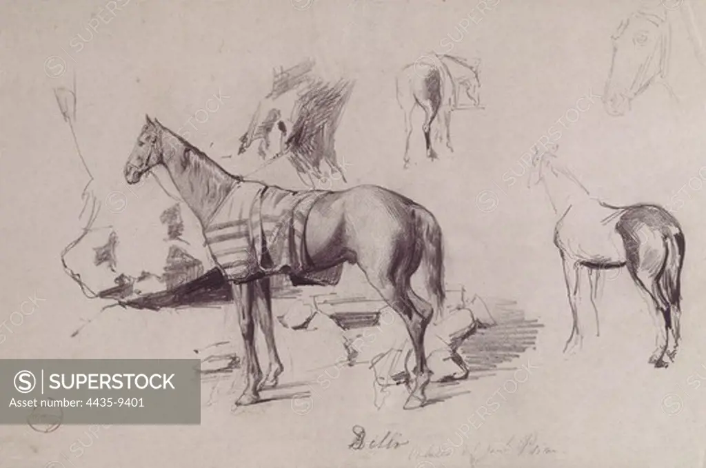FORTUNY I MARSAL, Mariano (1838-1874). Delio, the horse of General Prim. Notes from the War of Africa (Hispano-Moroccan War), 1860. Drawing with pencil (31.5x21cm). Romanticism. Drawing. SPAIN. CATALONIA. TARRAGONA. Reus. Salvador Vilaseca Regional Museum.