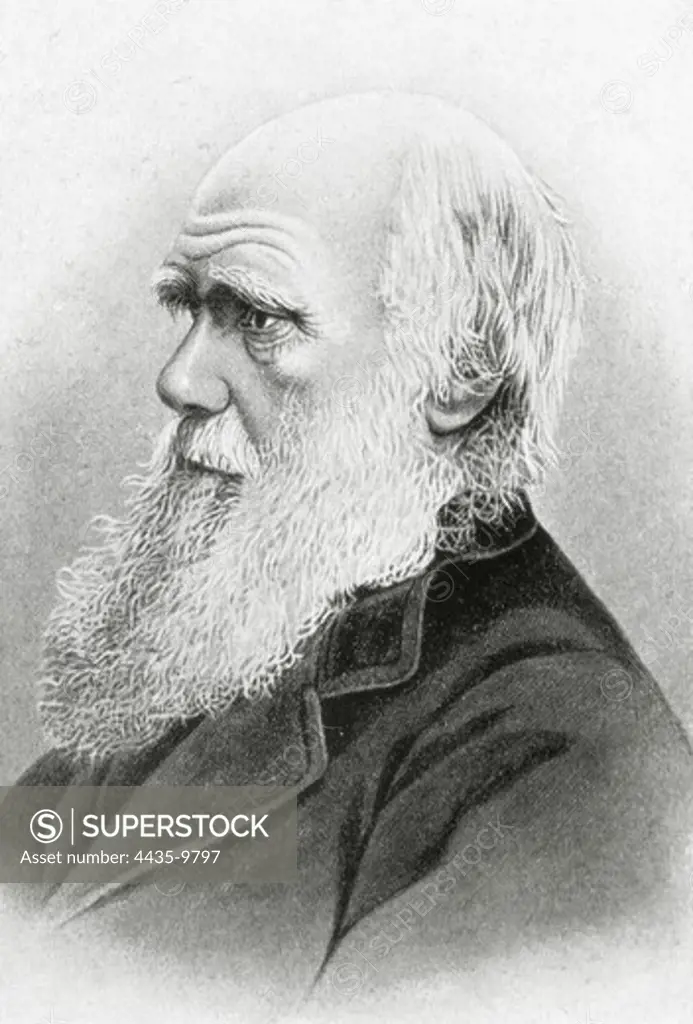 DARWIN, Charles Robert (1809-1882). British naturalist, author of the theory of evolution by natural selection. Engraving. SPAIN. CATALONIA. Barcelona. Biblioteca de Catalunya (National Library of Catalonia).