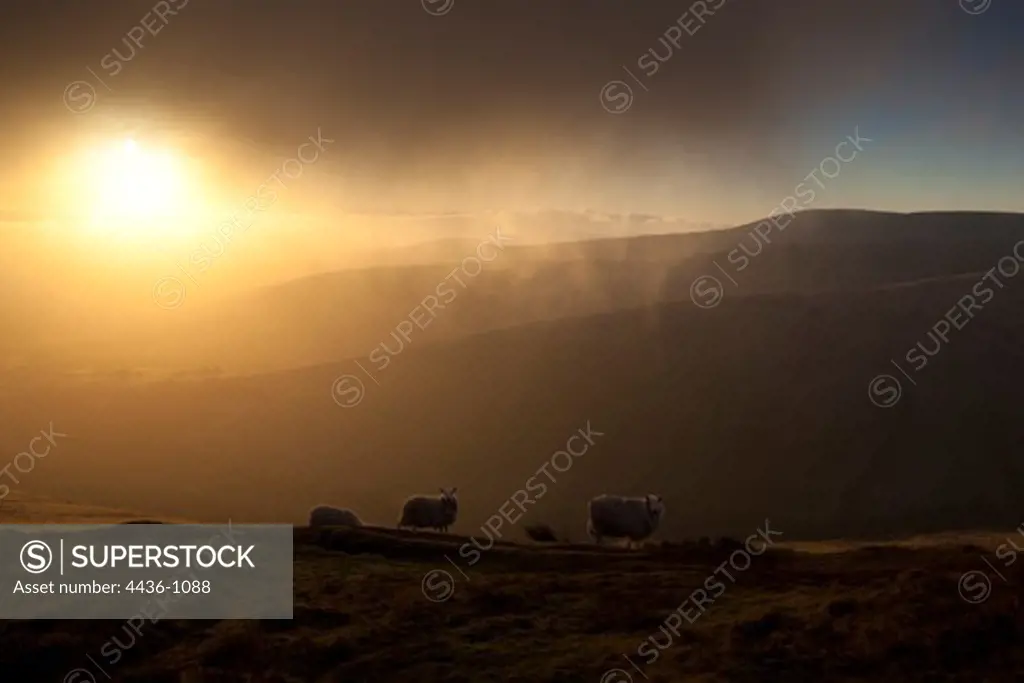 UK, Wales, Brecon Beacons, Sunset over landscape