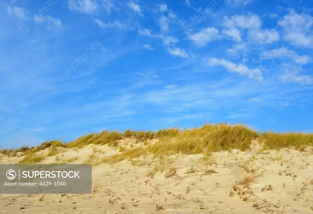 Sand dunes on the coast, Westerly, Washington County, Rhode Island, USA