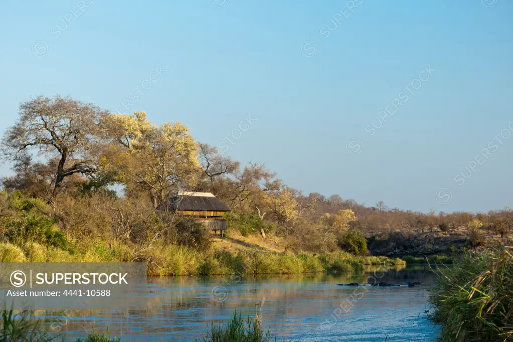 View of the Tsende River, Hippopotamus or Hippo (Hippopotamus amphibius) and the Shipandane Sleepover Hide near Mopani Camp. Kruger National Park. Mpumalanga. South Africa