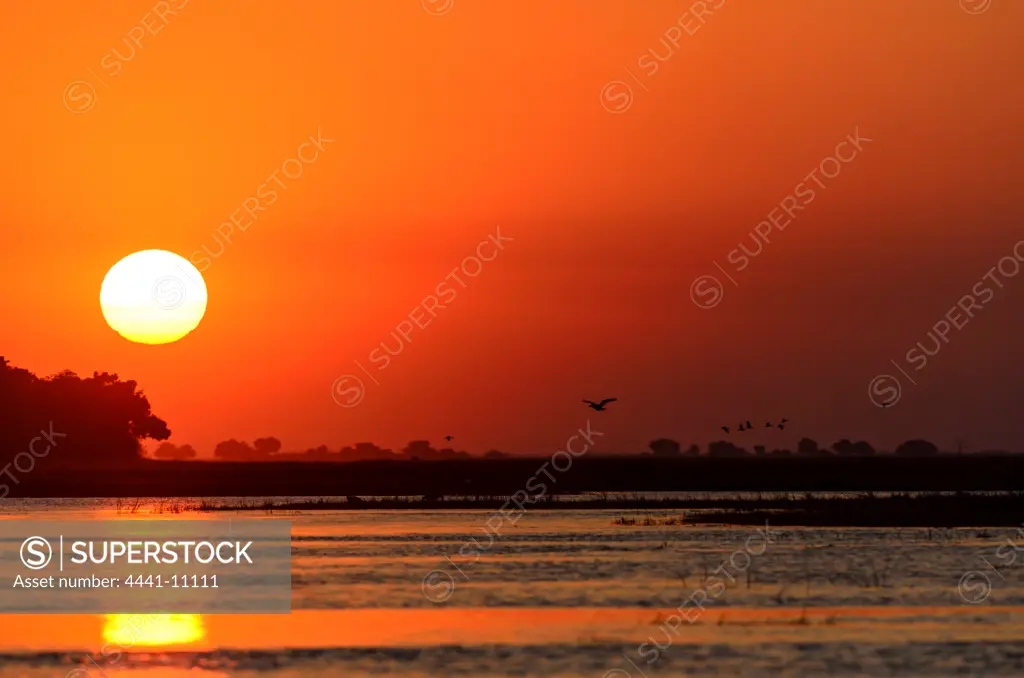 Sunset over the Chobe River. Chobe National Park. Botswana