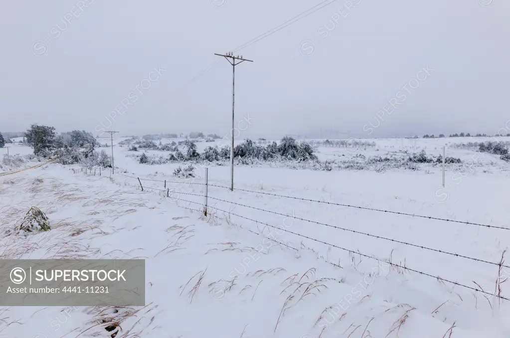 Snow scene near Currys Post. KwaZulu Natal Midlands. South Africa