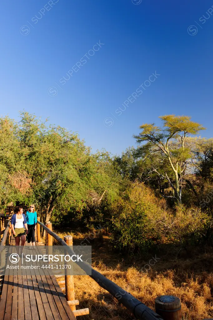 Visitor Board Walk. Mapungubwe National Park. Limpopo Province. South Africa.