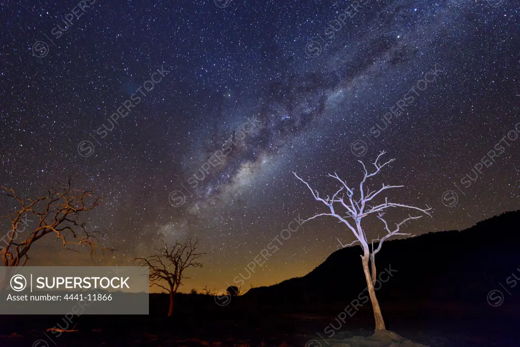 The Milky Way night sky. Madikwe Game Reserve. North West Province. South Africa
