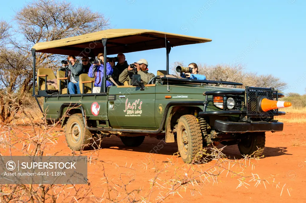 Photo safari with Africa Imagery at Jacis Lodges. Madikwe Game Reserve. North West Province. South Africa