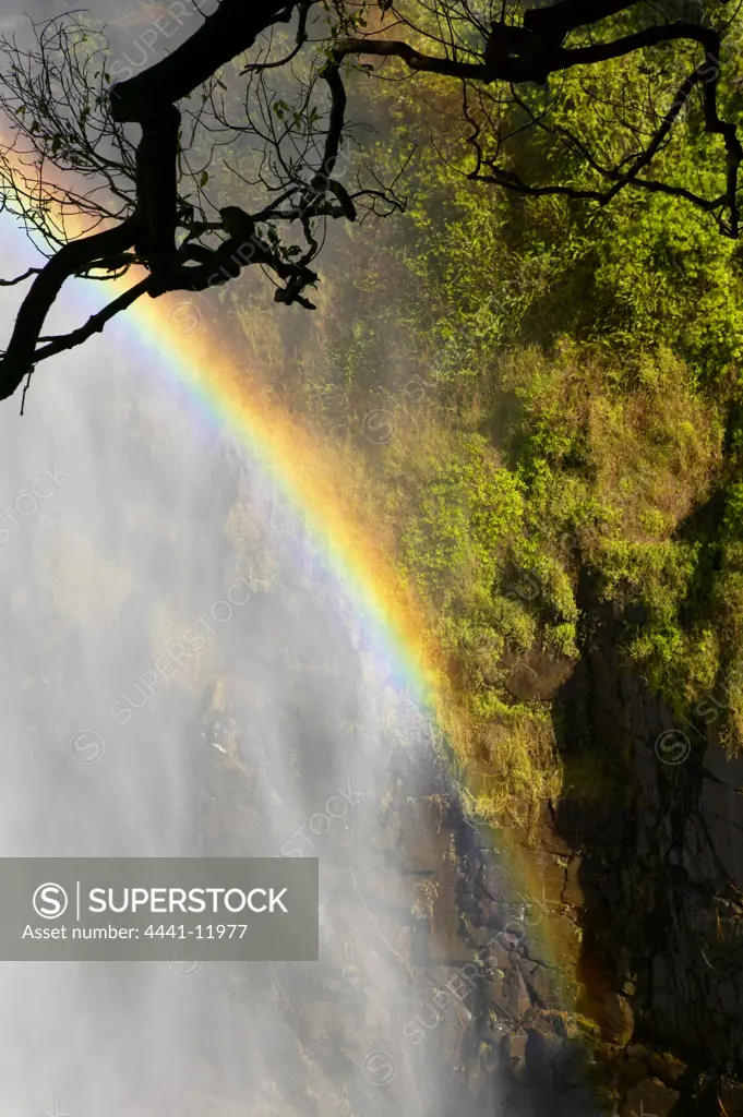 View of the Victoria Falls. Zimbabwe