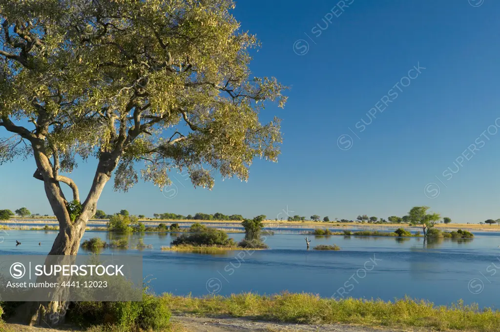 View of the Chobe River. Chobe National Park. Botswana
