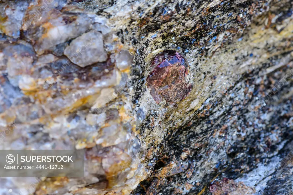 Garnets in coastal rocks. Near Kleinzee (Kleinsee). Namaqualand. Northern Cape. South Africa.