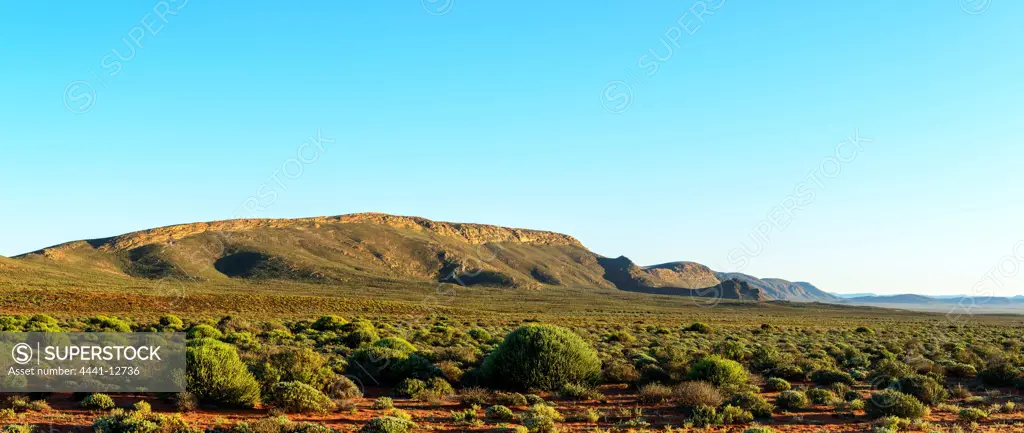 Rural scene between Port Nolloth and Steinkopf. Namaqualand. Northern Cape. South Africa.