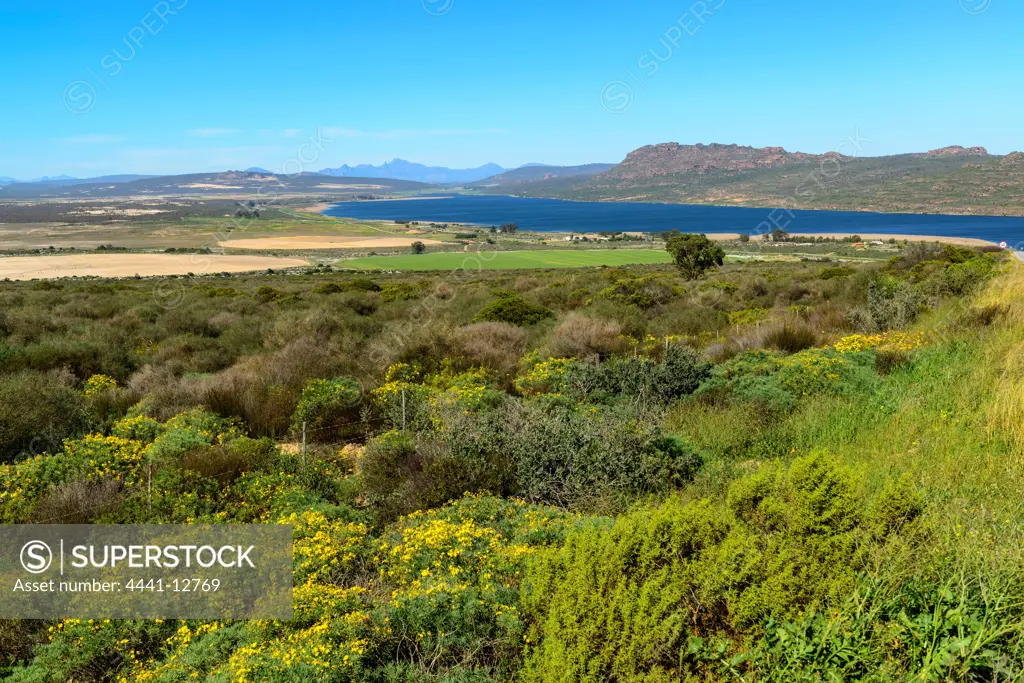 View of `. Elands Bay. Namaqualand. Western Cape. South Africa