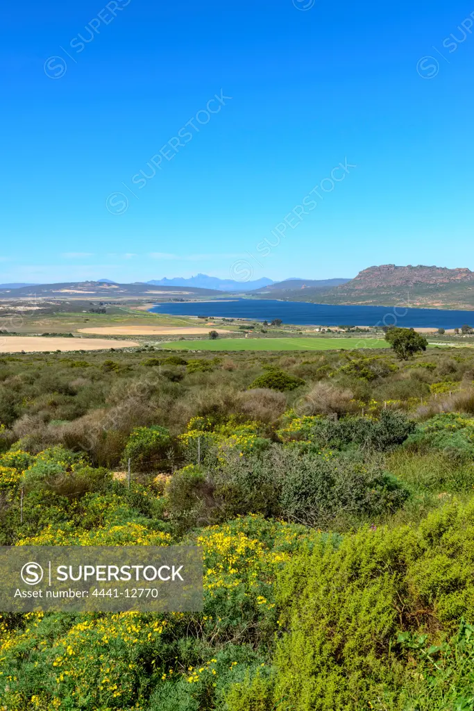 View of Verlorenvlei. Elands Bay. Namaqualand. Western Cape. South Africa