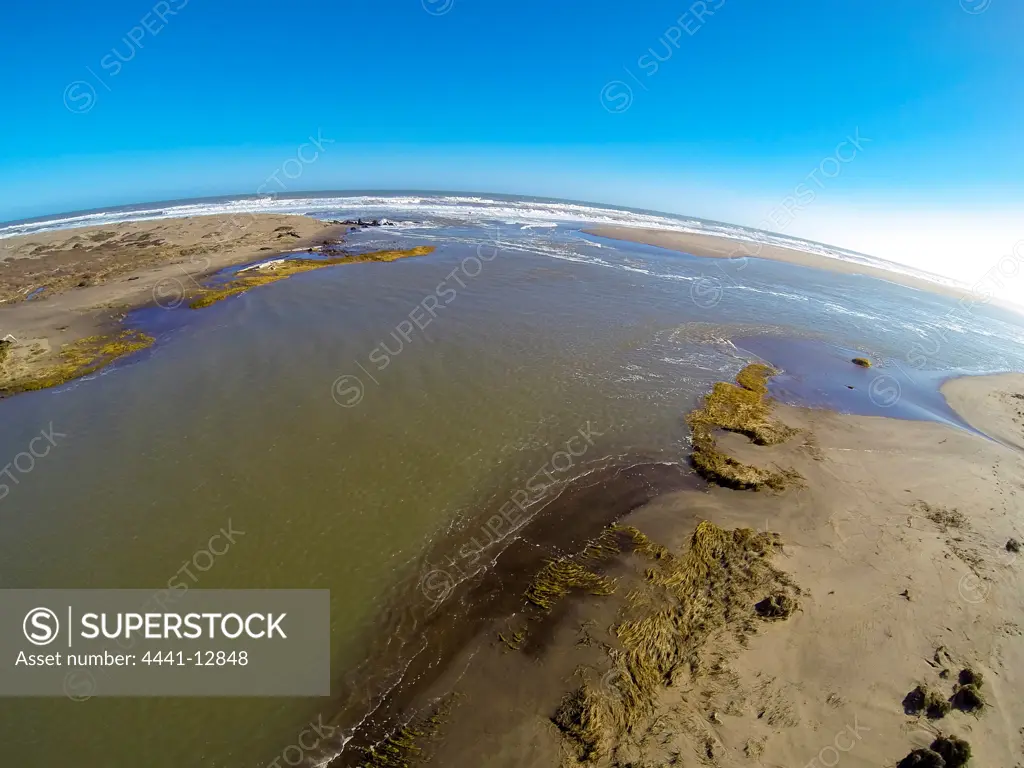 Orange River wetlands. Alexander Bay. Namaqualand. Northern Cape. South Africa.