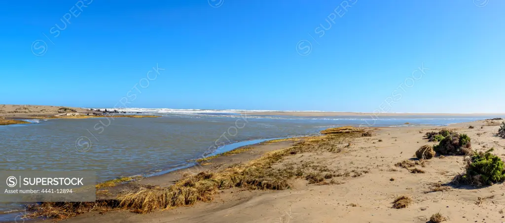 Orange River wetlands at it mouth. Alexander Bay. Namaqualand. Northern Cape. South Africa.