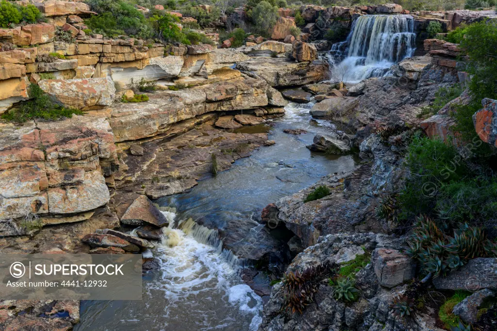 Riverine scene just upstream of Nieuwoudtville Falls. Nieuwoudtville. Northern Cape. South Africa.