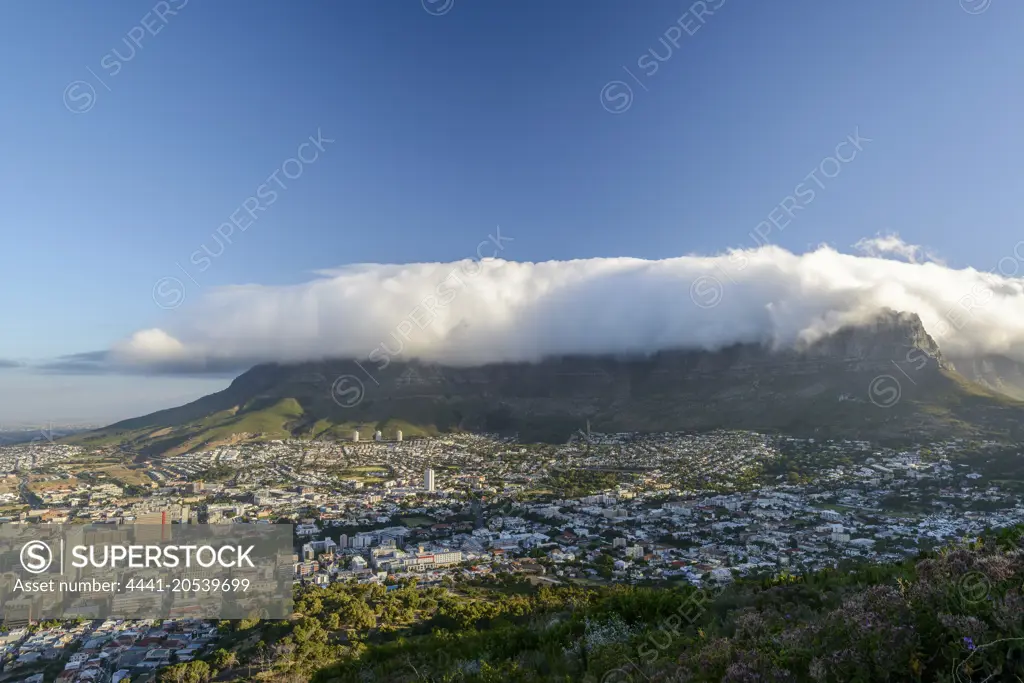 Table Mountain with "Table Cloth", and City Bowl from Signal Hill. Cape Town. Western Cape. South Africa