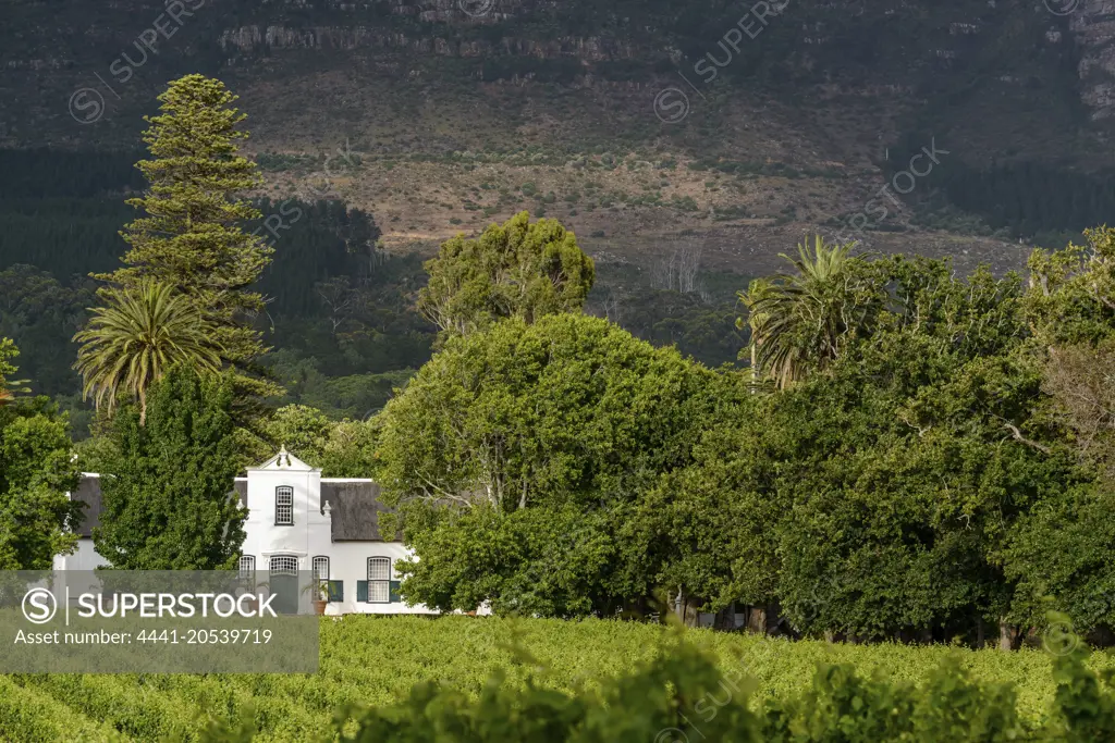 Buitenverwachting Wine Farm. Constantia. Cape Town, South Africa