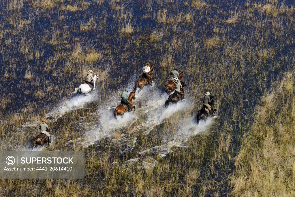 Horseback riding safari with African Horseback Safaris. Okavango Delta. Botswana