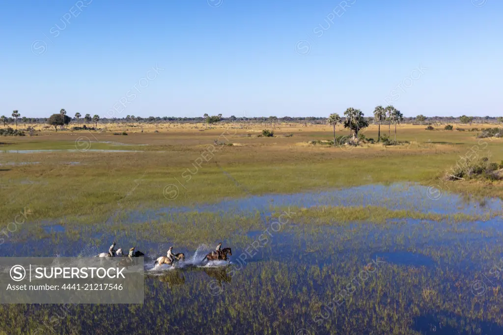 Horseback riding (horse riding). Macatoo Camp. African Horseback Safaris. Okavango Delta. Botswana