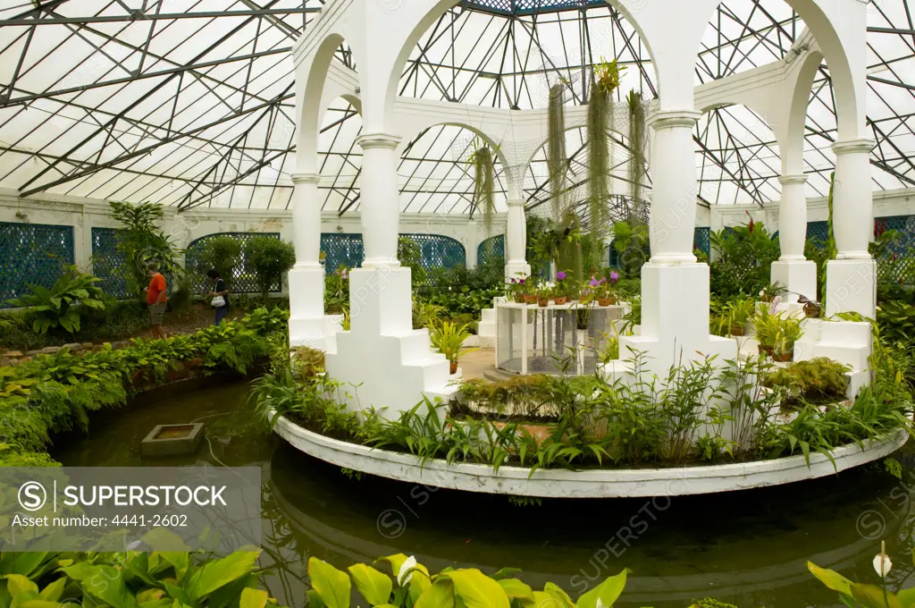 Botanical Gardens. Rio de Janeiro. Brazil