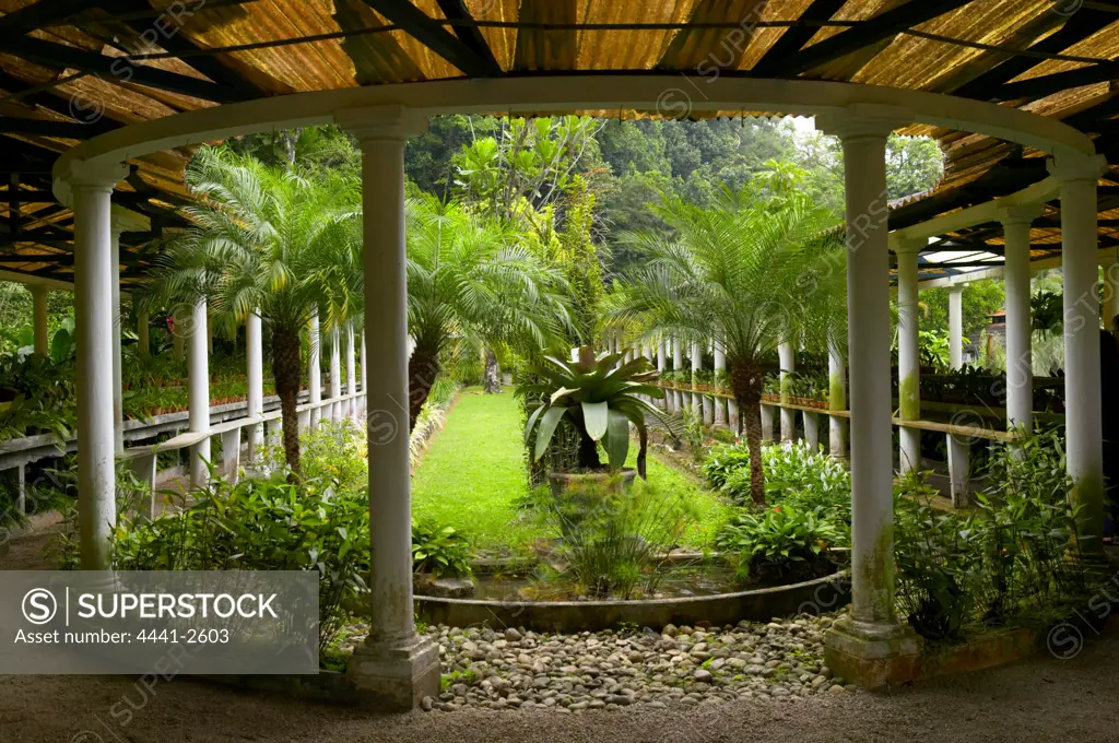 Botanical Gardens. Rio de Janeiro. Brazil