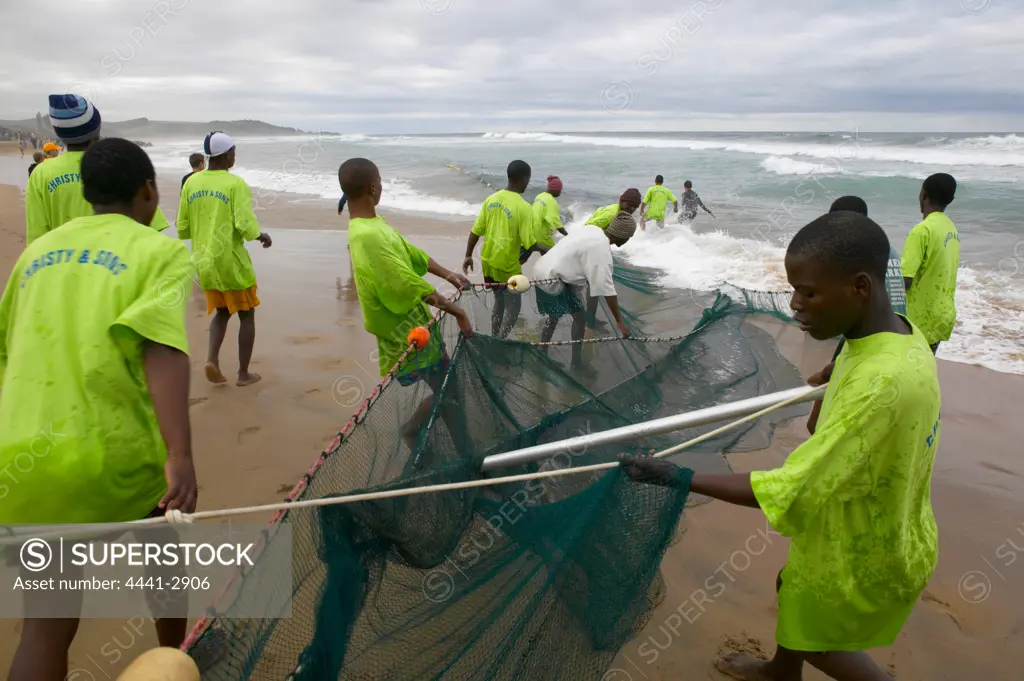 Fishermen catching fish from the beach using a large net during the 'Sardine Run'. South Coast. Kwa-Zulu Natal. South Africa.