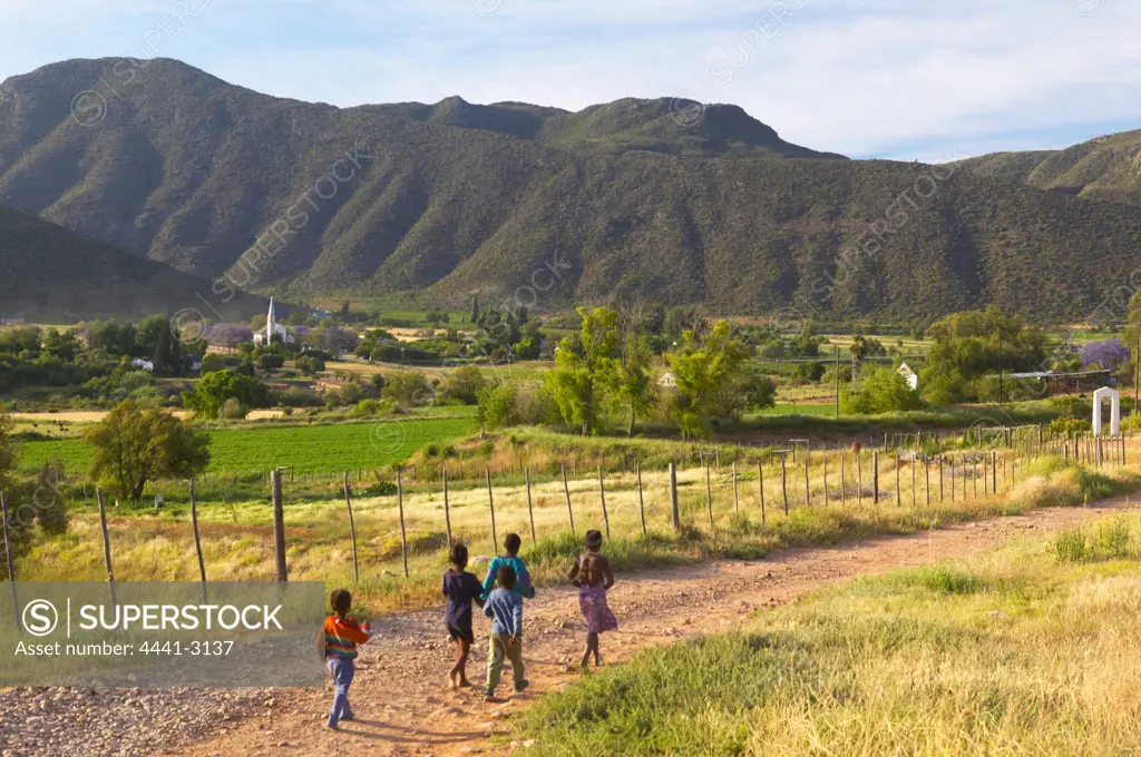 Rural Scene outside Oudtshoorn. Western Cape, South Africa.