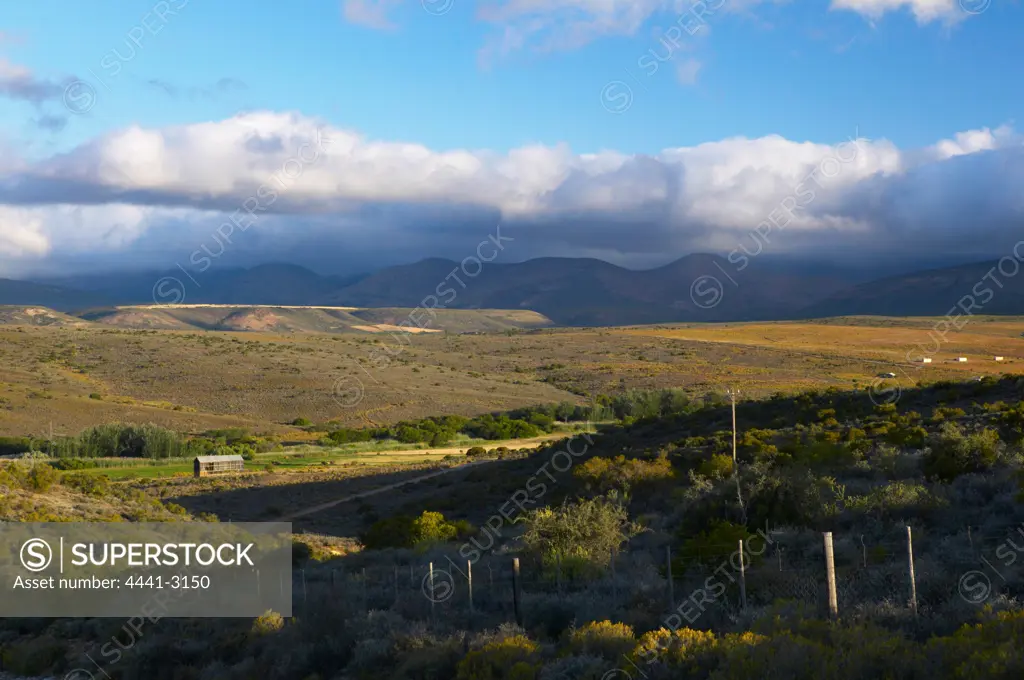 Rural scene near Oudtshoorn. Western Cape, South Africa.