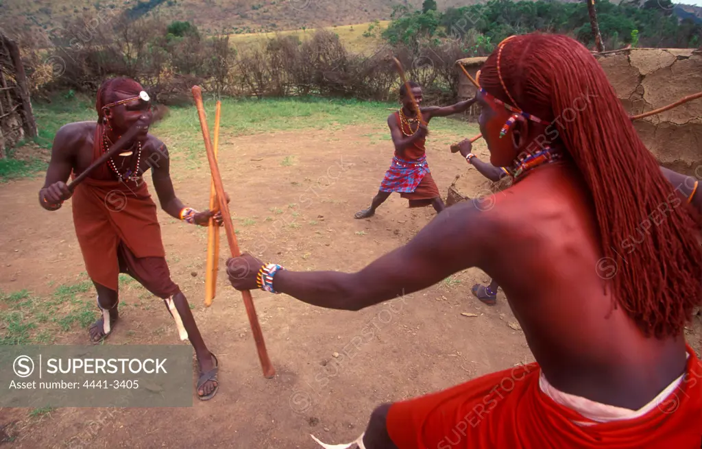 Maasai warriors or moran indulging in the traditional sport of stick. Maasai Mara. Kenya