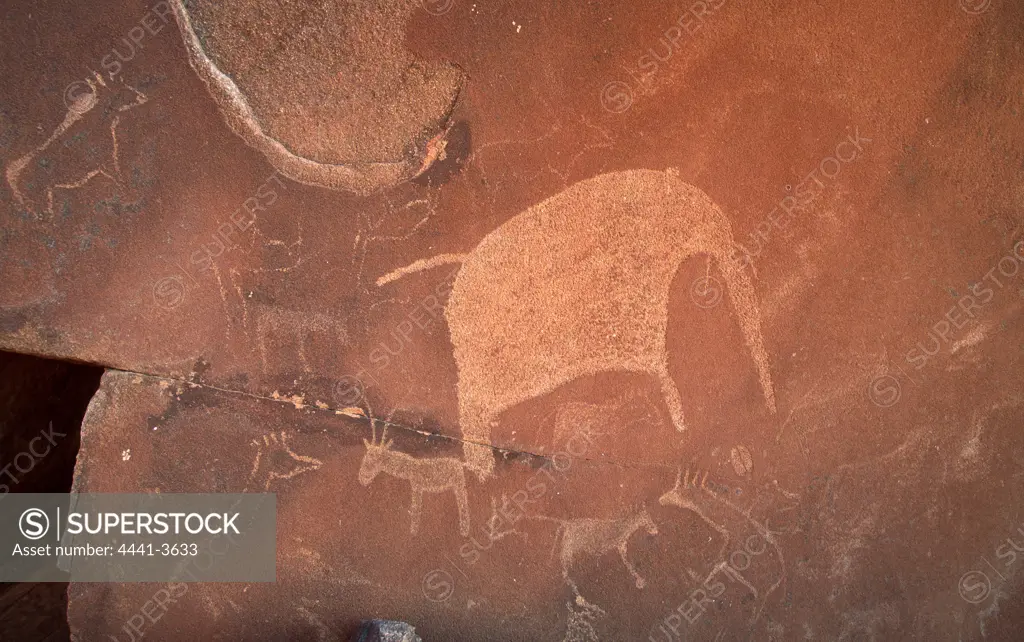 San (Bushman) rock engravings. Twyfelfontein. Namibia