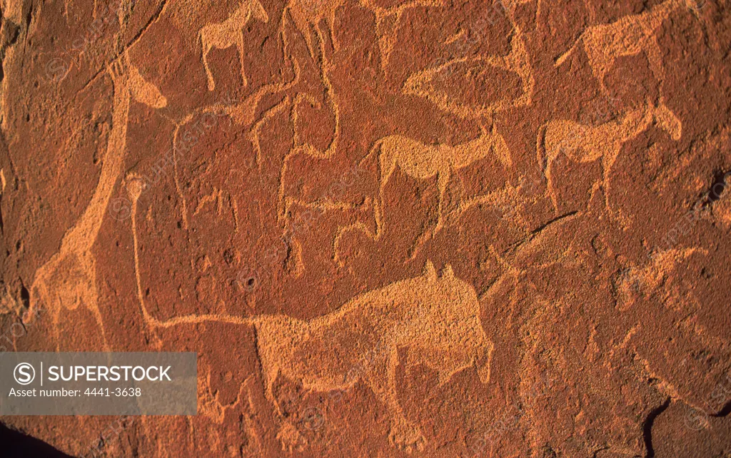 San (Bushman) rock engravings. Twyfelfontein. Namibia