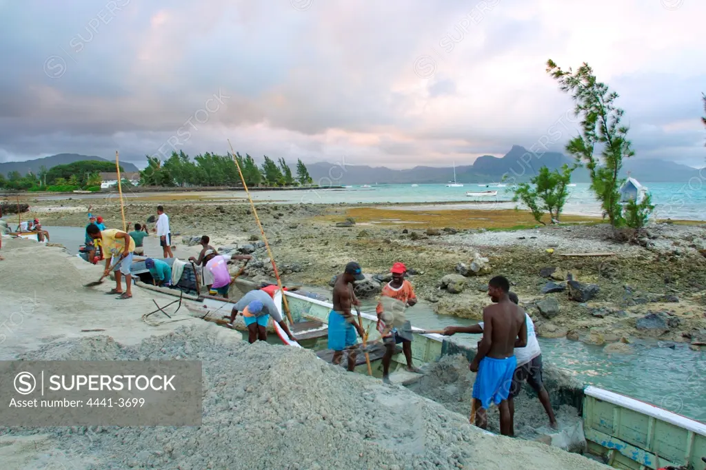 Men off loading sand dug from shallows and used for building. Mahebourg.  Mauritius