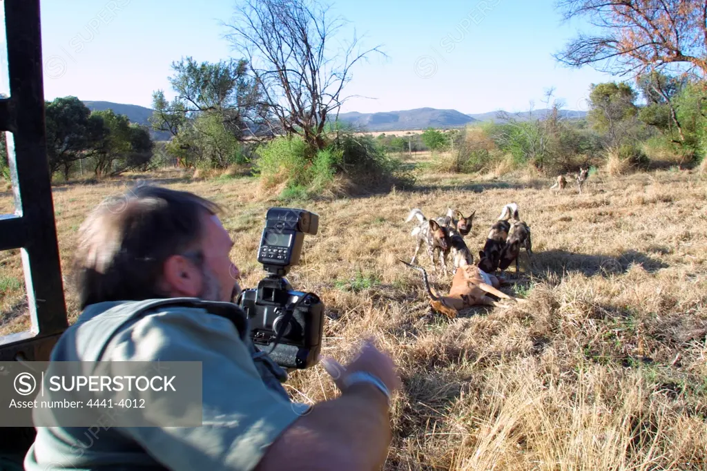Roger de la Harpe photographing wild dog feeding on and impala.. Pilansberg Game Reserve.  North West Province. South Africa.