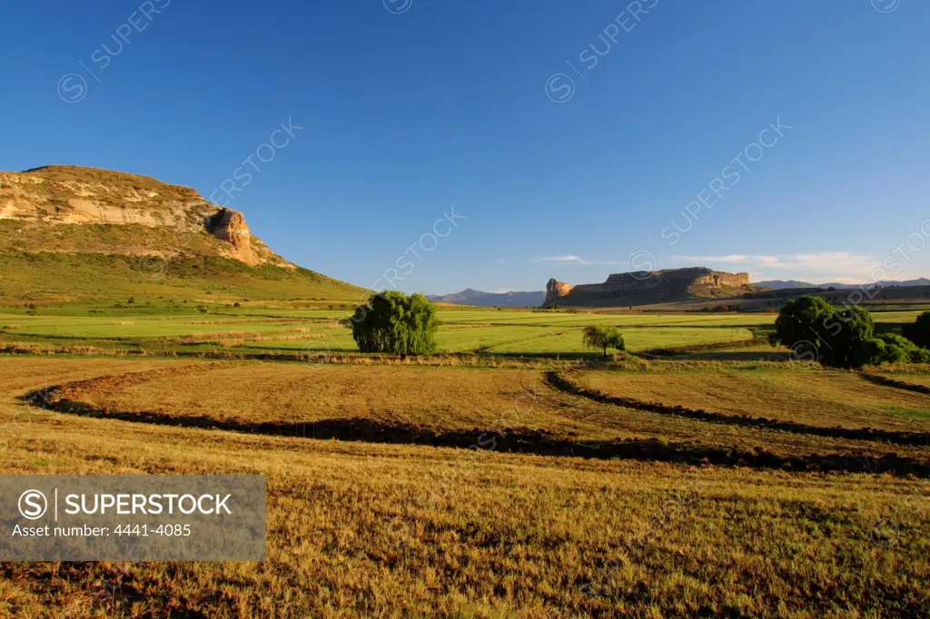 Rural Scene. Near Fouriesburg. Eastern Free State. South Africa. View towards the Maluti Mountains and Lesotho.