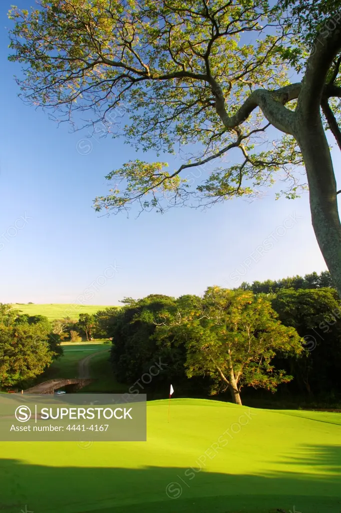 4th Hole at Selborne Golf Course. KwaZulu-Natal. South Africa