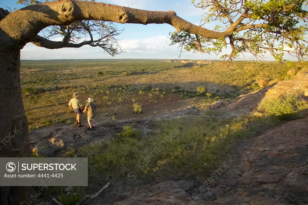 Tourists at on Mmamagwa Hill beneath a Baobab Tree (Andansonia digitata). Northern Tuli Game Reserve. Botswana.