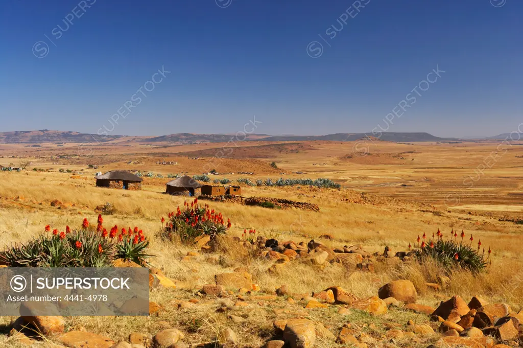 Rural scene near Nqutu. kwaZulu-Natal. South Africa