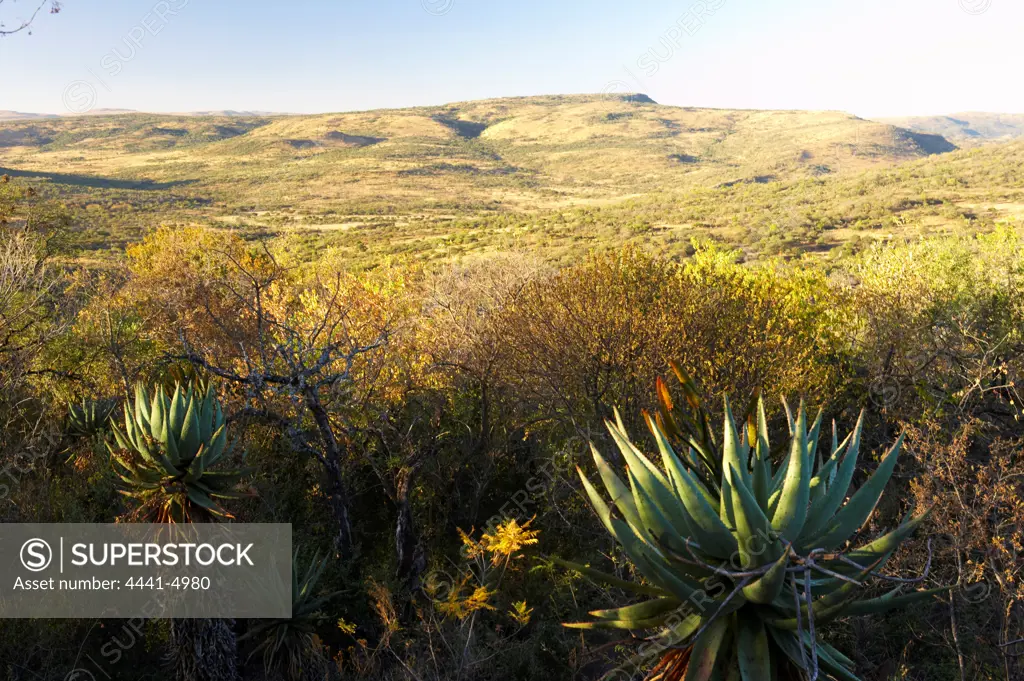 View from the chalets at Isibindi Lodge. Elandskraal. kwaZulu-Natal. South Africa
