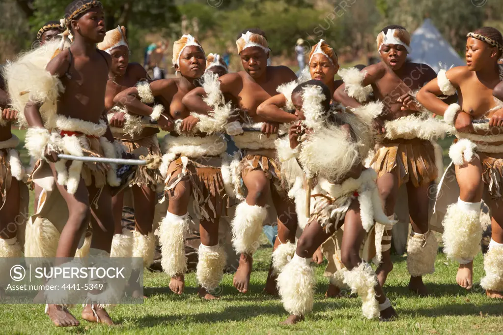 Zulu dancing at the reenactment of the Battle of Talana. KwaZulu Natal. South Africa