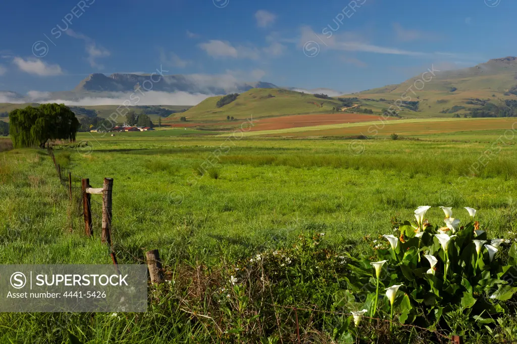 Rural scene in Kamberg Valley. KwaZulu Natal. South Africa