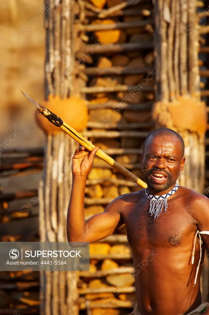 Zulu warrior. Shakaland. Eshowe. KwaZulu Natal. South Africa