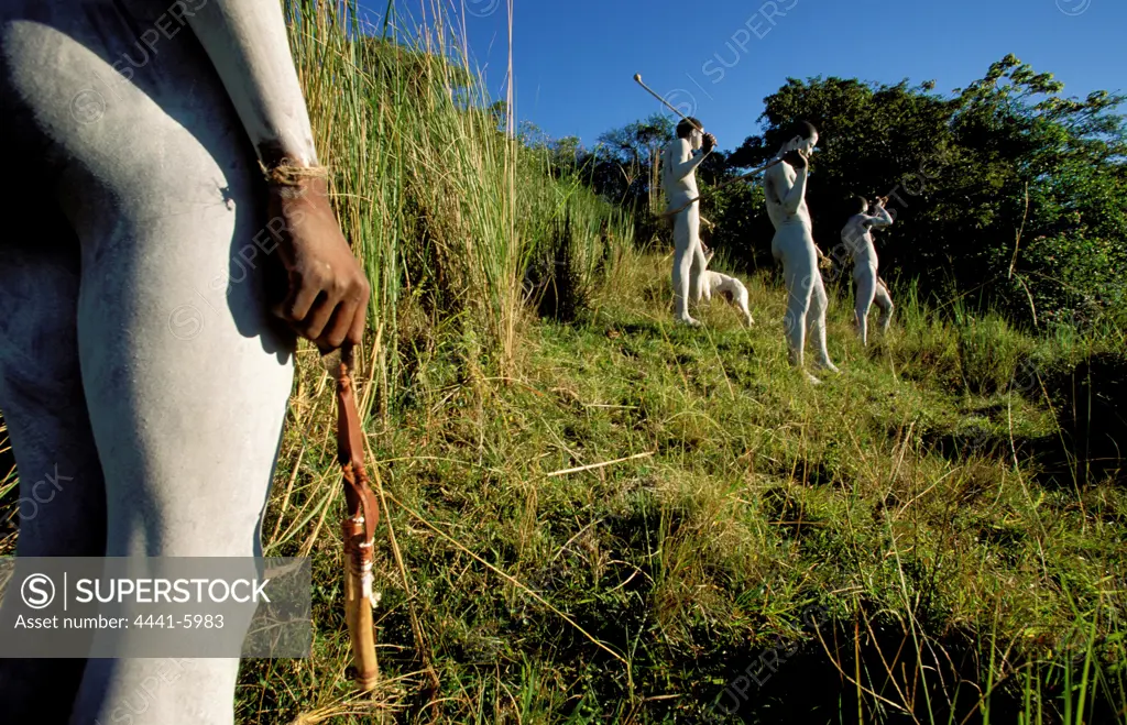 Xhosa amaKwetha (young men who has just been circumcised as part of their initiation into manhood) hunting birds. Wild Coast.  Eastern Cape. South Africa