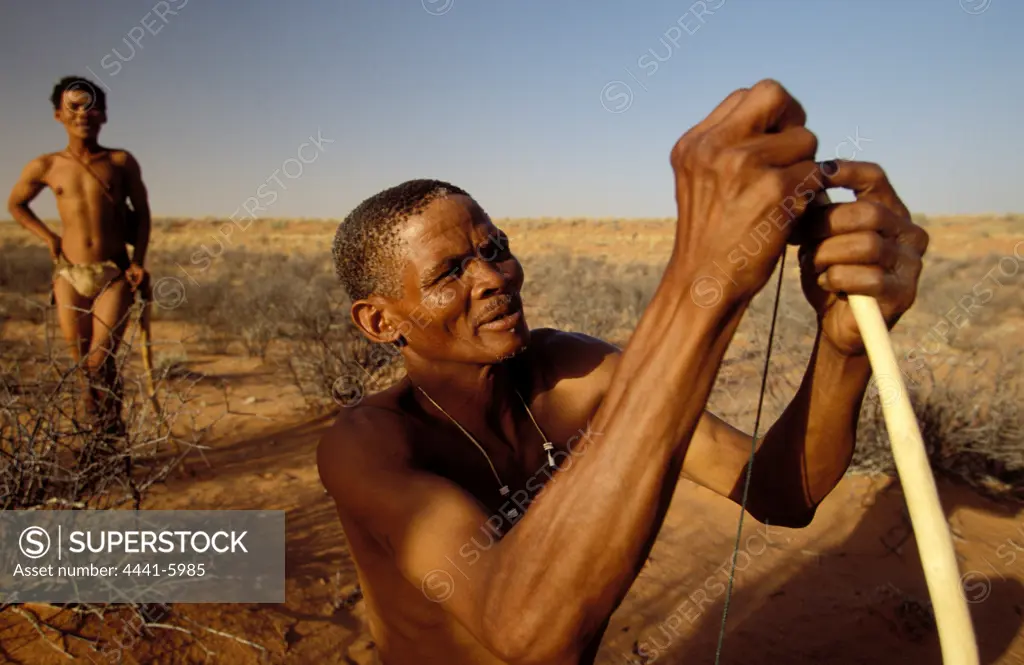 San (Bushman) hunter stringing his bow. Northern Cape. South Africa