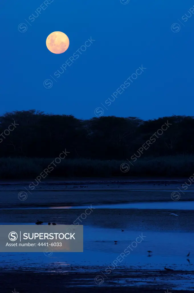 Moonrise at Nyamithi Pan. Ndumo Game Reserve. KwaZulu Natal. South Africa