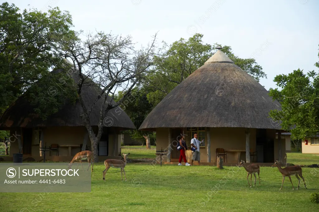 Accommodation at Pretoriuskop. Kruger National Park. Mpumalanga. South Africa.