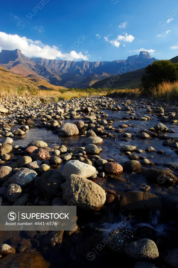 The Amphitheatre from the Tugela River. Royal Natal National Park. uKhahlamba Drakensberg Park.  KwaZulu Natal. South Africa