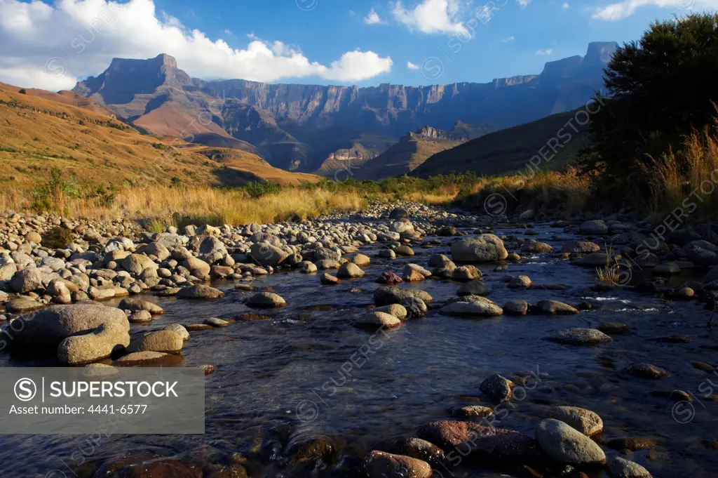 The Amphitheatre from the Tugela River. Royal Natal National Park. uKhahlamba Drakensberg Park.  KwaZulu Natal. South Africa